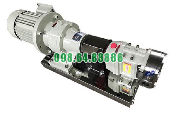 Máy bơm cánh khế 3RP-10 công suất 1.5kw áp suất 0.6 Mpa tốc độ quay 1000 vòng/phút