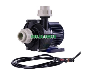 Máy bơm ly tâm đẫn động từ TDM-200PERU-DC24 quay 3000 vòng/phút điện áp 24v và 48v